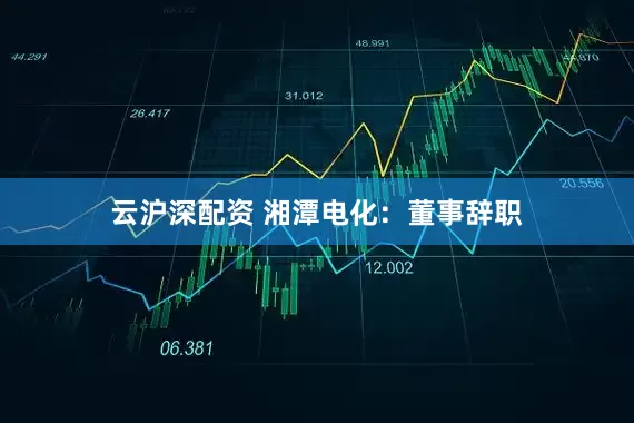 云沪深配资 湘潭电化：董事辞职